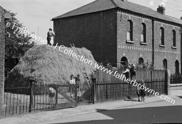 RATHMINES ROAD HAYSTACK